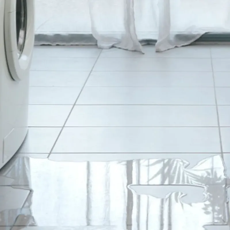 Appliance Leak Cleanup in Bridgman, MI