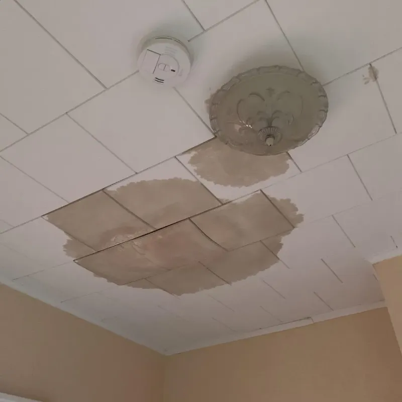 Ceiling Water Damage Repair in Bridgman, MI
