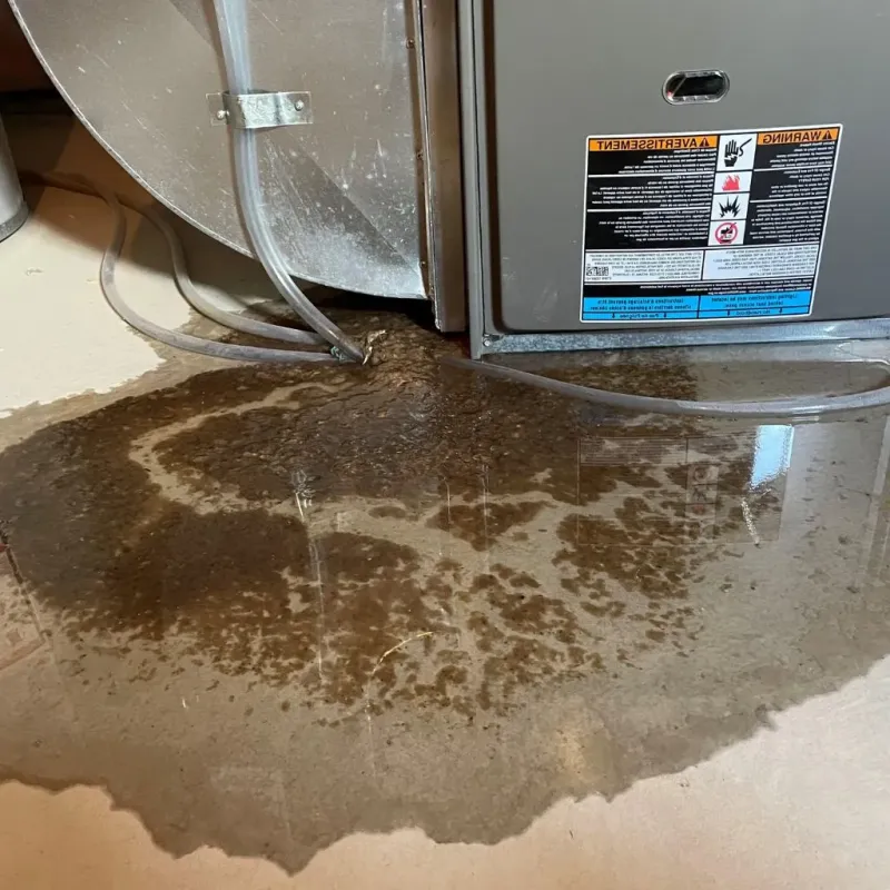 Pipe Burst and Leak Restoration in Bridgman, MI