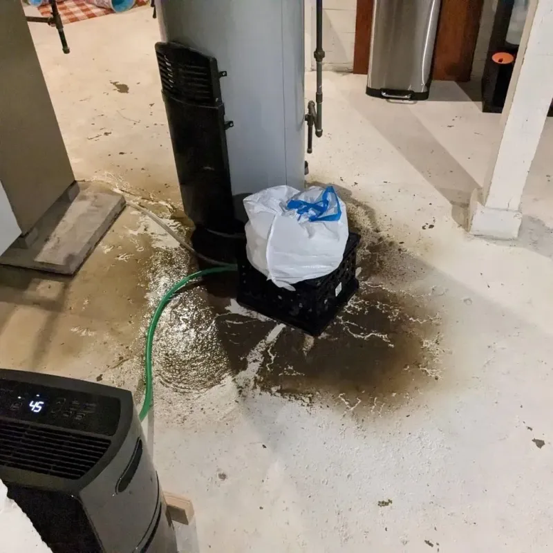 Sewage Backup Cleanup Service in Bridgman, MI